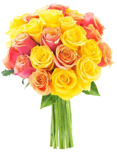 Vista 22 de KaBloom -6 ramos de rosas surtidas, flores para San Valentín, día de la madre Surtido