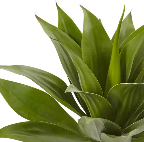 Vista 5 de Nearly Natural Planta de agave con tallo de 32 pulgadas
