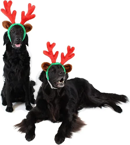 Vista 2 de Cuernos de reno de Navidad con orejas para grandes perros por Midlee