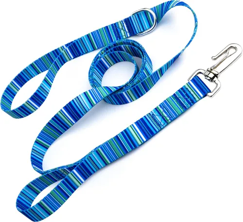 Vista 24 de Country Brook Design® Correa para perro Native Arizona de 1 pulgada - 6 pies Arizona nativa