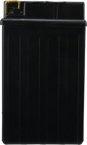 Vista 6 de PowerStar YTX14-BS, YTX14, KMX14-BS, FTX14-BS Batería de repuesto 200cca Alto rendimiento WP14-BS sellado AGM para Powersports