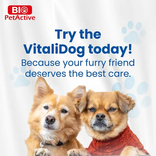 Vista 12 de Bio PetActive VitaliDOG Multivitamínico masticables para perros con biotina, vitaminas A E complejo B y aminoácidos, apoya la piel sana, el pelaje