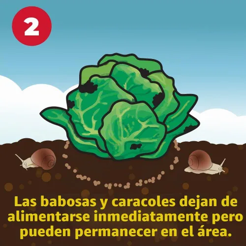 Vista 5 de Corry's Asesino de babosas y caracoles, caja de 1.75 libras