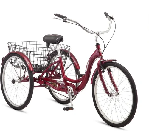 Vista 20 de Schwinn Meridian