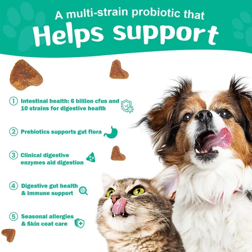 Vista 3 de BIGHERO Probióticos para perros - Probióticos para perros con prebióticos y enzimas digestivas, apoyo a la salud intestinal, salud digestiva e