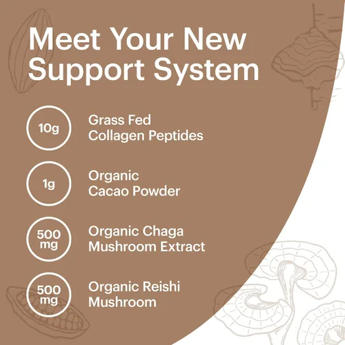 Vista 4 de Wellthy Superalimento en polvo de colágeno, combate el estrés y la fatiga, cacao, polvo de hongos, extractos orgánicos de chaga y reishi, matcha