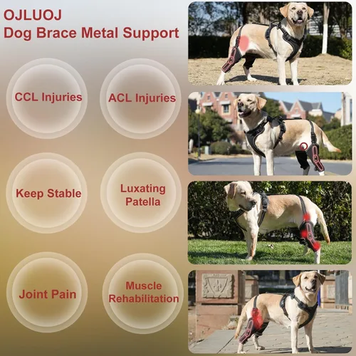 Vista 2 de Rodillera de metal para perro, longitud ajustable con cuerda de tracción usada en la pierna delantera y trasera, cachorros, tallas M, perros