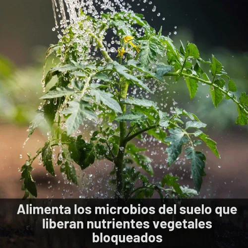Vista 4 de Seedlingers Super Yield Flower & Garden - Alimento para plantas multiusos, concentrado de 32 onzas