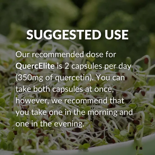 Vista 7 de Mara Labs QuercElite Quercetina biodisponible 350 mg de quercetina y 250 mg de complejo de semillas de brócoli 30 cápsulas veganas