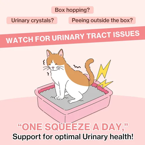 Vista 2 de Doctor By UT Care Cat - Suplemento urinario de apoyo renal para UTI de gatos, tratamiento con arándano para la salud renal de gatos con Pacran