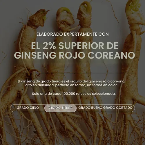 Vista 3 de JUNG KWAN JANG Everytime Korean Red Ginseng Extracto Energía Boost 30 Sticks