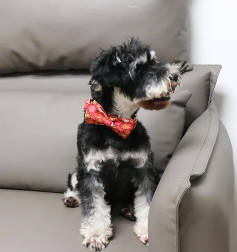 Vista 18 de Unique Style Paws Collar de perro de Halloween con lazo de algodón lindo pajarita para perros pequeños, medianos y grandes, vacaciones