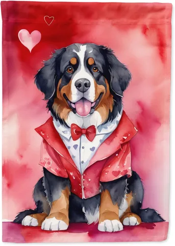 Vista 33 de Caroline's Treasures DAC5252GF Affenpinscher - Bandera de jardín con texto en inglés "My Valentine", bandera decorativa para patio exterior, patio