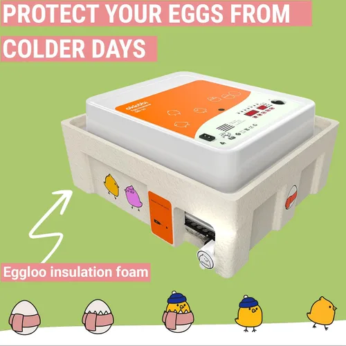 Vista 6 de OBI-36 Incubadora de huevos para incubar - 36 huevos - Control estable de temperatura y humedad con aislamiento Eggloo, Candler - Ideal
