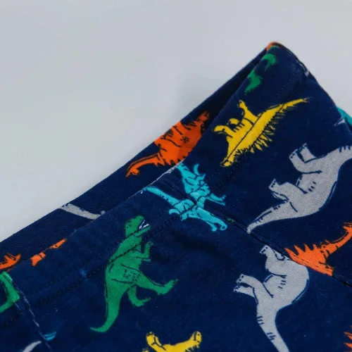 Vista 6 de Calzoncillos 100% algodón para niños pequeños, ropa interior suave de dinosaurio para niños pequeños