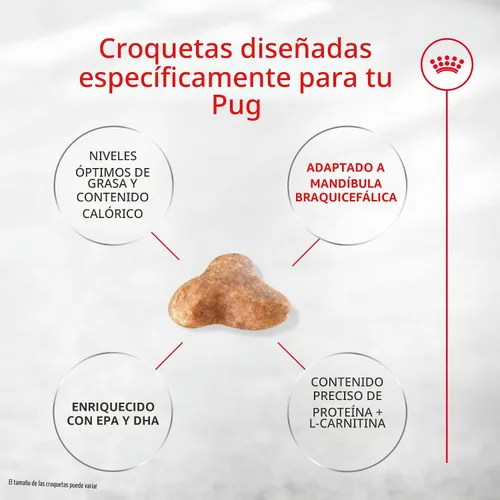 Vista 4 de Royal Canin Pug - Alimento seco específico para perros de raza adulta, bolsa de 10 libras Weight Management, Skin Barrier Support, For Adult Pugs