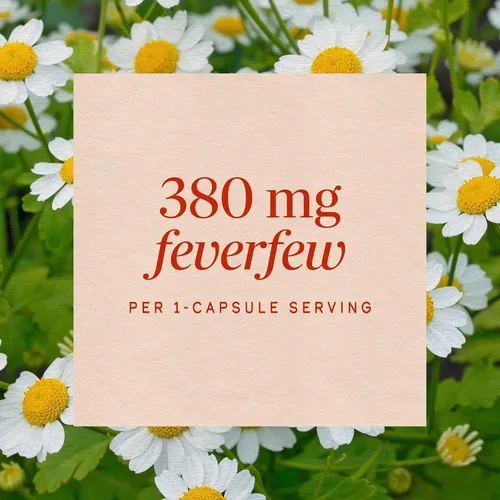 Vista 4 de Nature's Way Cápsulas de hierbas de matricaria, 380 mg por porción, veganas