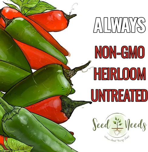Vista 5 de Seed Needs Semillas de pimiento picante para plantar chiles serranos, semillas de vegetales sin OMG y sin tratar para plantar un jardín vegetal