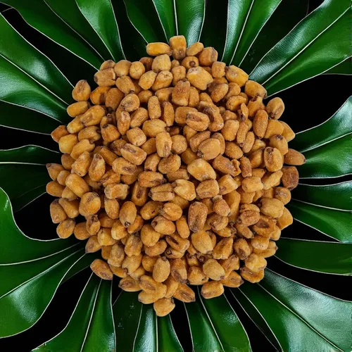 Vista 8 de Smarty Stop Nueces de maíz saladas tostadas (1 libra (paquete de 1))