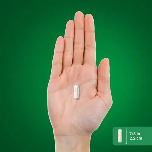 Vista 7 de Piping Rock Cápsulas de óxido de magnesio de 500 mg 90 unidades Suplemento sin OMG, sin gluten Non-GMO, Gluten Free Supplement