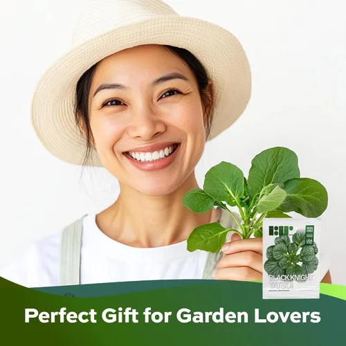 Vista 6 de 1000 semillas de mostaza tatsoi Black Knight para plantar – semillas autóctonas, sin OMG, verdes asiáticos cultivados en EE. UU. con empaque premium