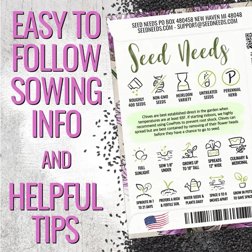 Vista 3 de Seed Needs Semillas de cebollino para plantar cebollino común, semillas de hierbas sin OMG y sin tratar para plantar un jardín de hierbas culinarias