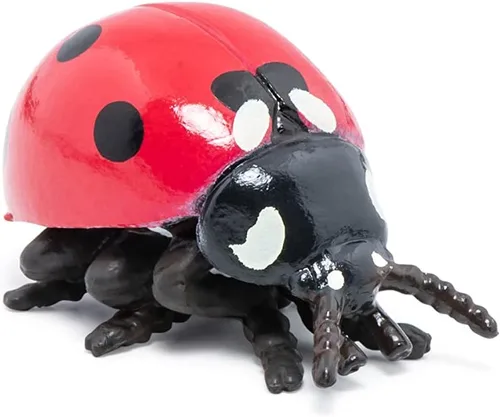 Vista 4 de Papo - Figura realista de mariquita - A partir de 3 años - Colección de animales de jardín - Mundo educativo de insectos - Juguete de idea de regalo