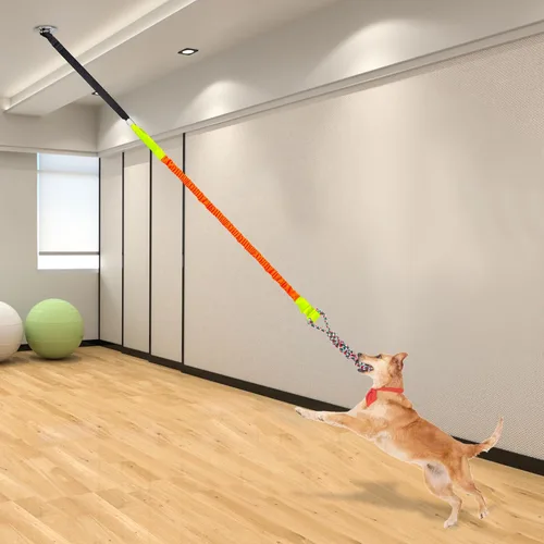 Vista 4 de Juguete elástico para exteriores, juguete colgante para perro, cuerda interactiva de juego de ejercicio y correa con juguete de cuerda masticable