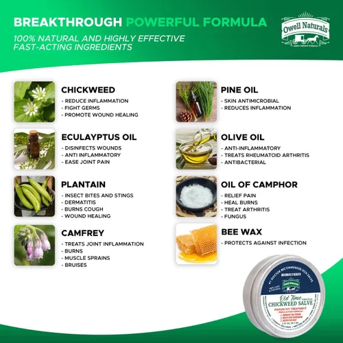 Vista 4 de OWELL Naturals Dibujo Salve – Acción rápida para pelos encarnados, forúnculos, protuberancias, quistes y astillas – Fórmula transparente que