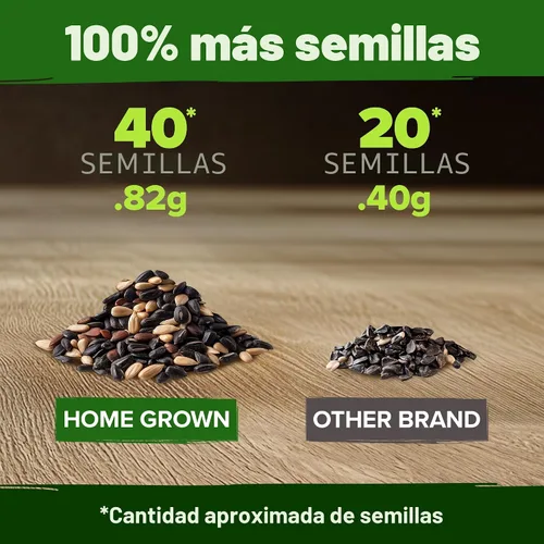 Vista 3 de HOME GROWN Autumn Beauty Semillas de girasol, 40 semillas, Helianthus