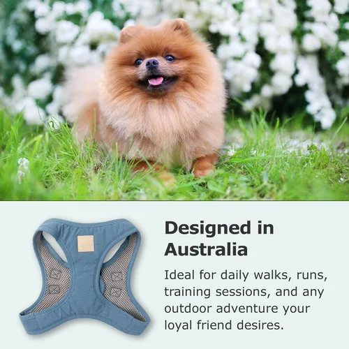 Vista 6 de FuzzYard Life Step in - Arnés para perro Talla XXS Elegante diseño de algodón de primera calidad en azul francés perfecto para paseos diarios