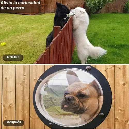 Vista 4 de Ventana en Valla para Mascotas de Petpeek
