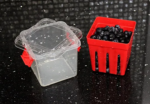 Vista 7 de Home & Style Recipiente de almacenamiento de productos con colador, enjuague, escurre y mantiene las frutas frescas, sin BPA, con tapa, ideal