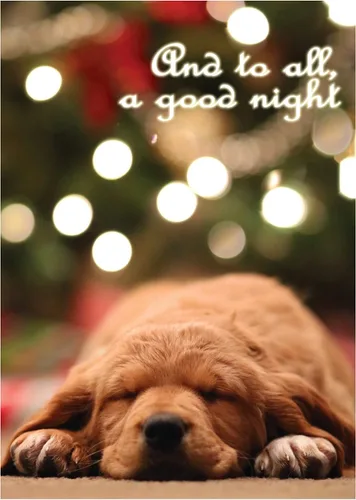 Vista 24 de Glory To Dog And To All A Good Night Sleepy Beagle Puppy - Juego de 12 tarjetas y sobres de Navidad