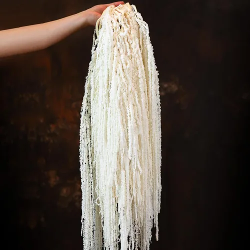 Vista 9 de 5 flores colgantes de amaranto seco, flores preservadas naturales para arco de boda, exposición, lágrimas colgantes de amantes de la pared, arreglo