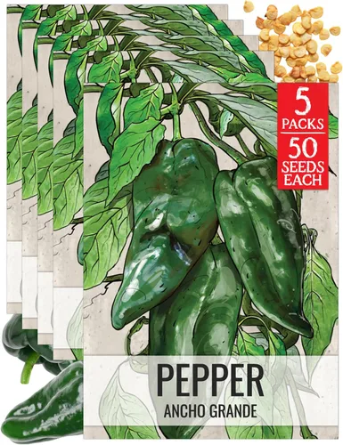 Vista 57 de Seed Needs - Semillas de pimiento arcoíris para plantar verduras, 1 paquete
