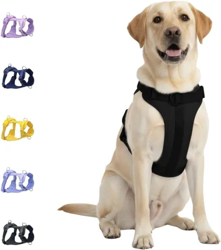 Vista 12 de Dog Harness - No Pull Adjustable Front Clip Vest with Soft Padding, 3Leash Clips, and No-Choke Oxford Design Comfort for Small, Medium, and Large