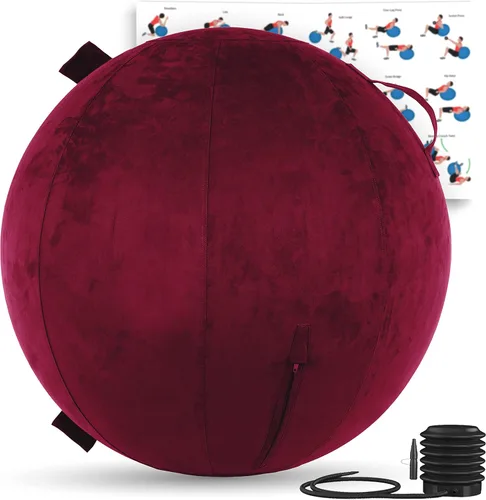 Vista 27 de Husband Pillow Exercise Ball, Cover with Pump for Yoga, Pilates, Fitness Balance Stability, Office Ball Chair Seat. Soft & Slip Resistant, Pro Guide