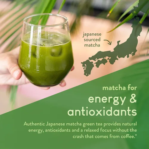 Vista 5 de 360 Nutrition Polvo de péptidos de colágeno hidrolizados Matcha, té verde matcha japonés para la salud intestinal, apoyo articular, energía, piel
