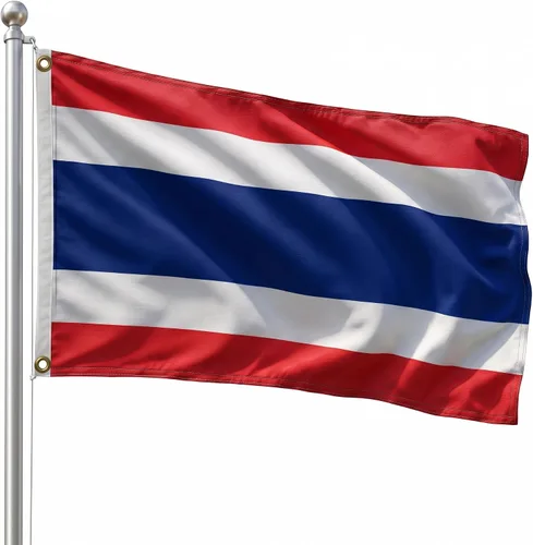 Vista 190 de DMSE - Bandera nacional beninesa beninesa de la República de África Occidental, 2 x 3 pies, 100 % poliéster, 100 % poliéster, resistente a los rayos