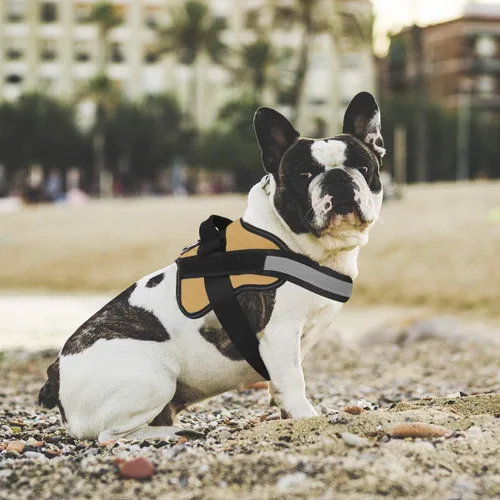 Vista 4 de Arnés para perro, reflejante y transpirable, ajustable, con asa, para sacarlo a pasear, no más tirones ni asfixia (amarillo militar, tamaño XS)