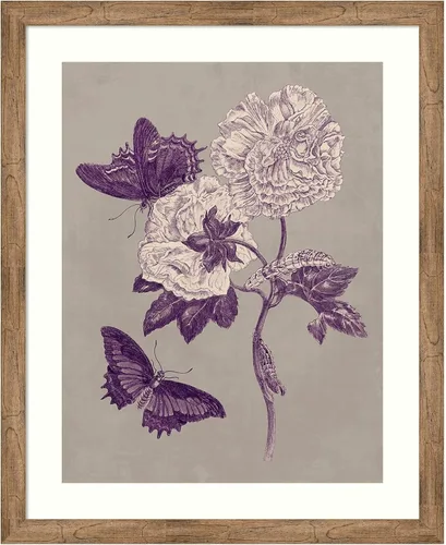 Vista 9 de Amanti Art Lienzo decorativo para pared, 24 x 20 pulgadas, estudio de la naturaleza en ciruela y gris pardo IV por Maria Merian, arte de pared