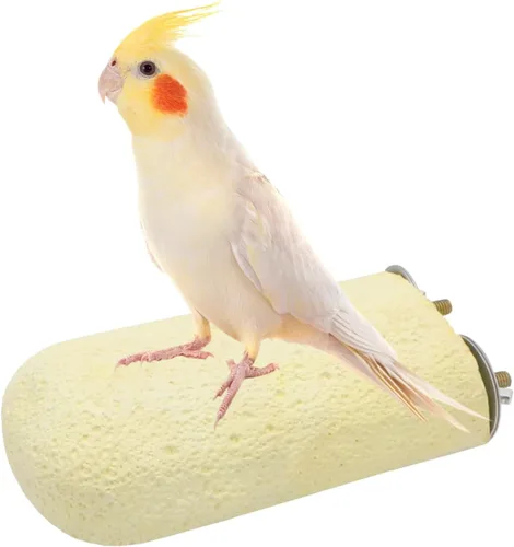 Vista 8 de Pájaro Calcio Dientes Masticar Juguete Hámster Piedra de moler para loro Periquito Cacatúa Conejo Chinchilla Ardilla Jaula Perca Soporte