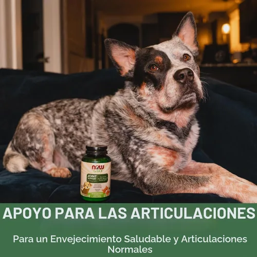 Vista 4 de NOW Pet Health, Suplemento de apoyo articular, formulado para gatos y perros, certificado NASC, 90 tabletas masticables