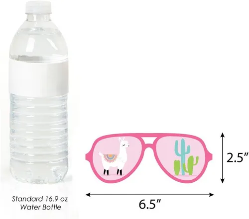 Vista 5 de Big Dot of Happiness Whole Llama Fun Gafas y máscaras – Tarjeta de papel Stock Llama Fiesta Baby Shower o fiesta de cumpleaños Kit de accesorios