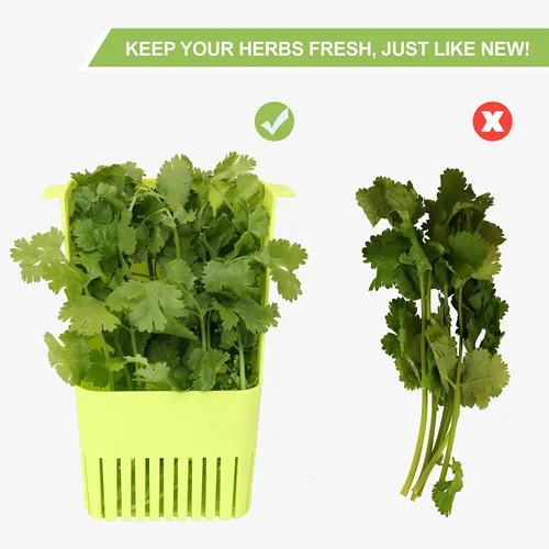Vista 6 de LUVCOSY Herb Keeper, protector de hierbas de plástico sin BPA con una cesta interior para cilantro, menta, perejil y espárragos, mantiene