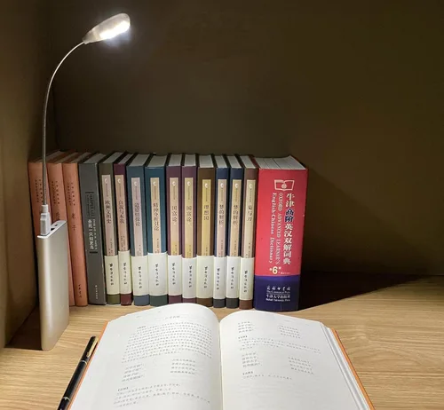 Vista 6 de Lámpara de Lectura LED USB con Ajuste Regulable de 2 Brillos, Cuello de Ganso Flexible, Luz USB para Notebook Laptop Teclado, Powerbank