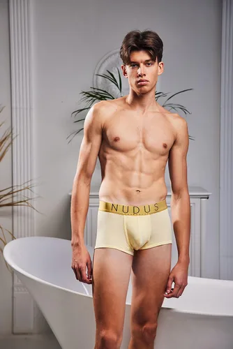 Vista 5 de NUDUS Ropa interior de bambú de 2 bolsas para hombre, paquete de 4 calzoncillos tipo caja de regalo, calzoncillos tipo bóxer