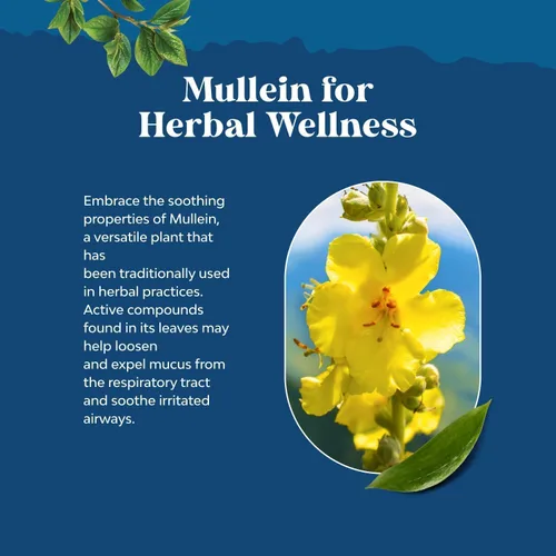 Vista 3 de Gotas de gordolobo orgánicas USDA para los pulmones - Desintoxicación y limpieza pulmonar herbal con extracto de raíz de malvavisco y hoja