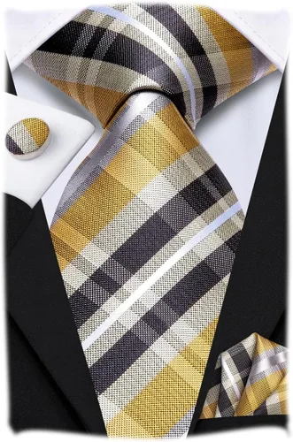 Vista 304 de Hi-Tie Corbata clásica de cachemira para hombre con pañuelo y gemelos a cuadros